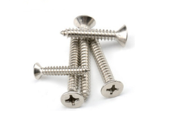 Vít Gỗ Bằng Đầu Inox