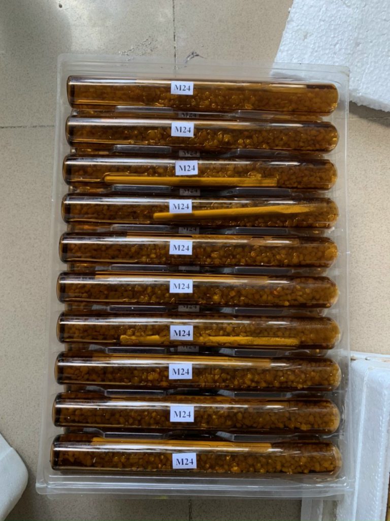 Hóa Chất Ống Nhộng